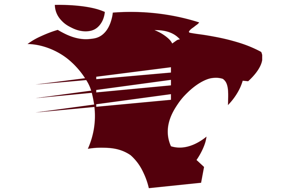 Hawley team logo