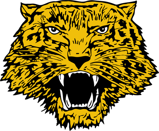 Itasca team logo