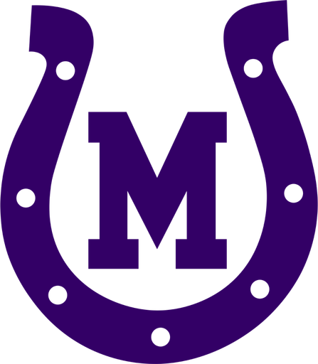 Mason team logo