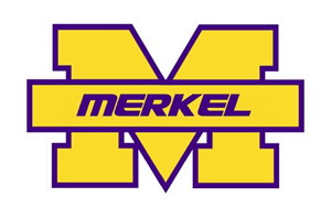 Merkel team logo